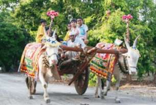 Agro Tourism in koyna suroundings and koynanagar 
