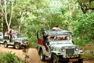 Koyna and koyna wildlife Sanctuary jungle safari